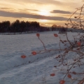 img00002