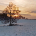 img00003