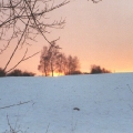 img00004