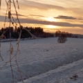 img00005