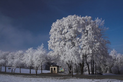 Zimní pohádka na Antonce 2007